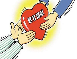 中国の臓器提供ボランティア登録が２５１万人に