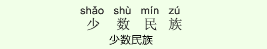 少数民族 少数民族