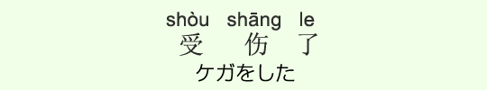 ケガをした ケガをした