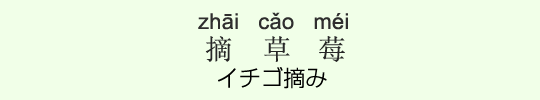 イチゴ摘み イチゴ摘み