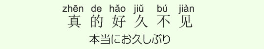 本当にお久しぶり 本当にお久しぶり