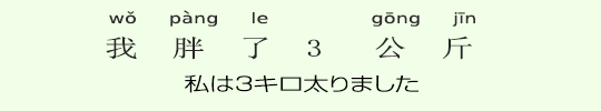 私は3キロ太りました 私は3キロ太りました