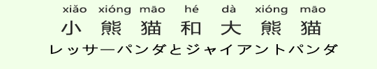 レッサーパンダとジャイアントパンダ レッサーパンダとジャイアントパンダ