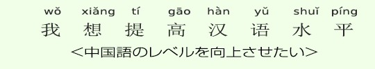 <中国語のレベルを向上させたい> <中国語のレベルを向上させたい>