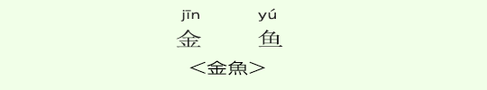<金魚> <金魚>