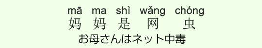 お母さんはネット中毒 お母さんはネット中毒