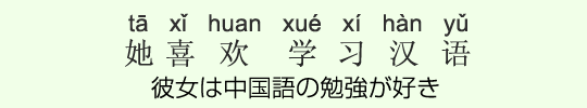 彼女は中国語の勉強が好き 彼女は中国語の勉強が好き