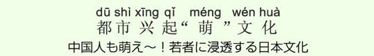 中国人も萌え~!若者に浸透する日本文化 中国人も萌え~!若者に浸透する日本文化
