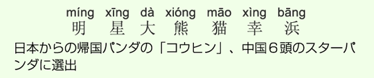 日本からの帰国パンダの「コウヒン」、中国6頭のスターパンダに選出 日本からの帰国パンダの「コウヒン」、中国6頭のスターパンダに選出