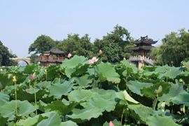 杭州の西湖風景区と中国五大連湖が、今年の世界遺産候補リストに