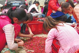 中国毎年一人平均２２キロのトウガラシを食べる