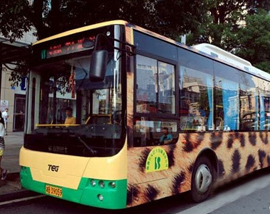湖南省株洲市の街に、「豹柄」「ヴィトン柄」のバス現る