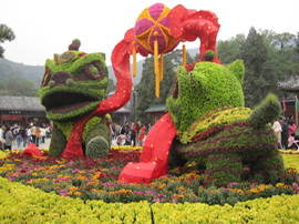 北京の香山公園、1日の観客数が13万8千人