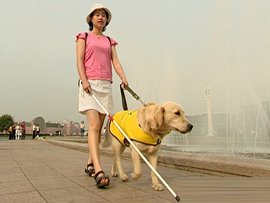 中国最大の盲導犬訓練基地、今年末河南省に建設