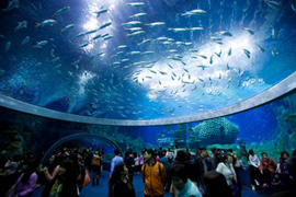 世界最大の海洋テーマパークがオープン