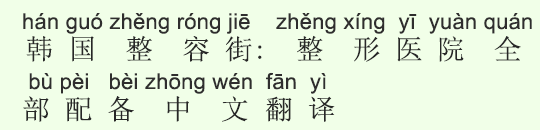 韩国整容街 整形医院全部配备中文翻译 リスニング 時事中文 教材 文法集 Bitex中国語