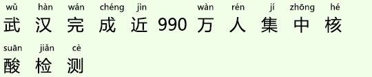 武漢市が市民990万人に新型コロナのPCR検査を実施 武漢市が市民990万人に新型コロナのPCR検査を実施
