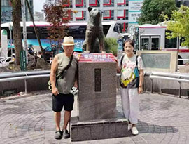 ５４歳の中国人観光客、城ケ崎海岸で落水女性を勇敢に救出