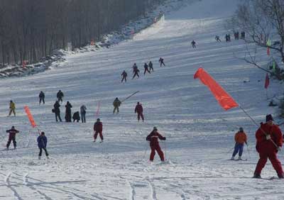 滑雪(练习)场