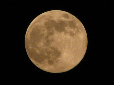 望月，满月，阴历十五的月亮